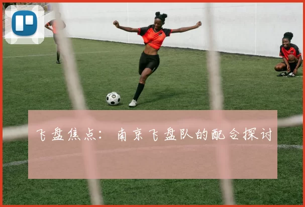 飞盘焦点：南京飞盘队的配合探讨