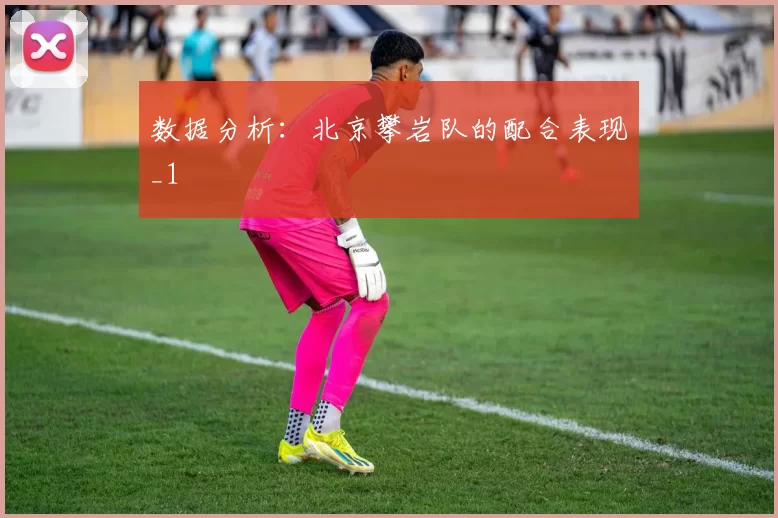 数据分析：北京攀岩队的配合表现_1