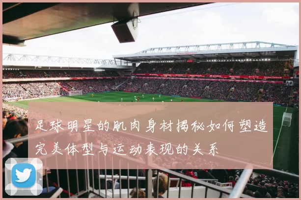 足球明星的肌肉身材揭秘如何塑造完美体型与运动表现的关系