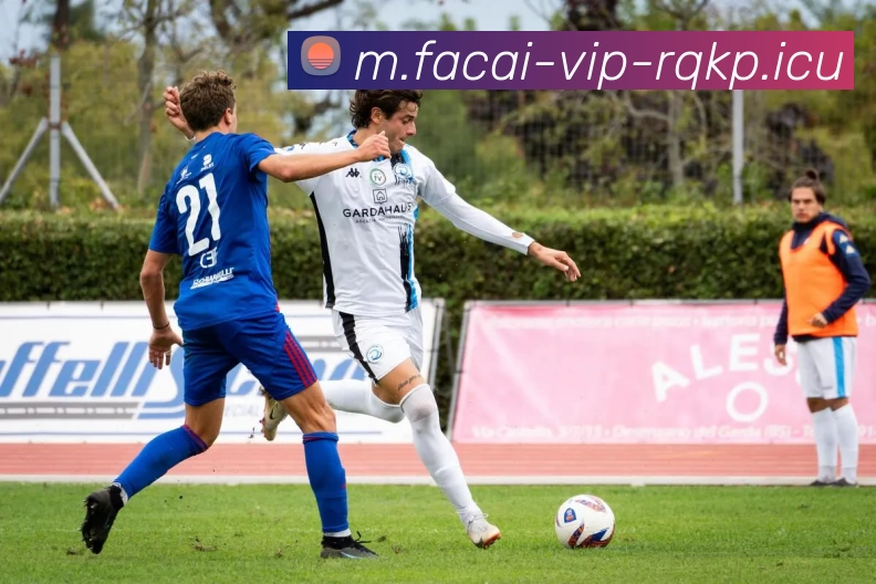 App Interface Preview